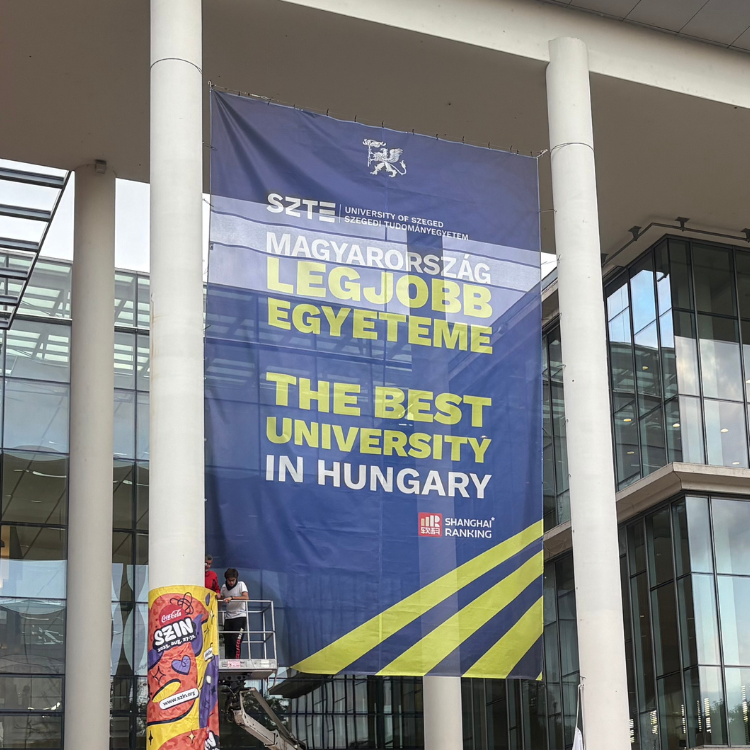 Mesh háló nyomtatás