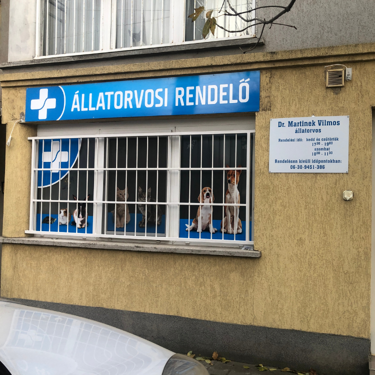 Rendelő dekorálás üzletdekor