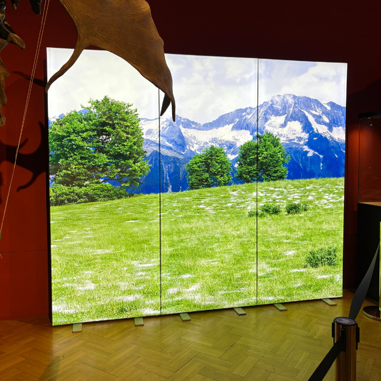 Modurális led boxok világító ledbox